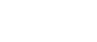 SWT Small Business Supporter Logo White.png