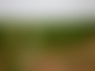 Corredores celebrando a Wine Run no Vale do São Francisco, uma oportunidade de conhecer a cultura e as belezas naturais da região.