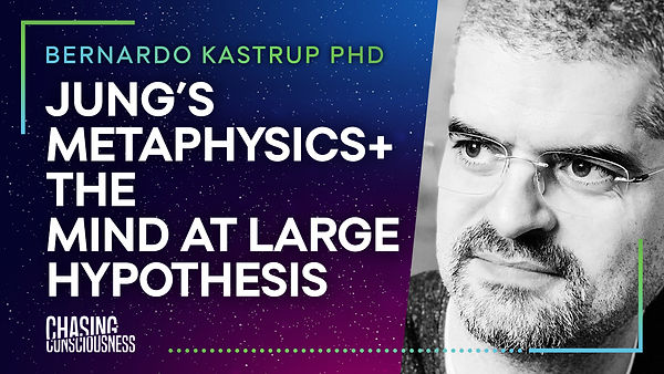 Bernardo Kastrup Youtube Cover - DEF.jpg