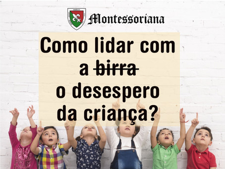 Como lidar com a birra (o desespero) da criança?