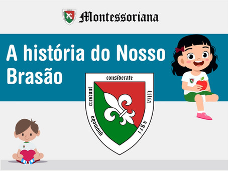 A história e o significado do nosso Brasão