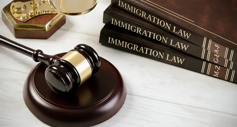immigration law.webp