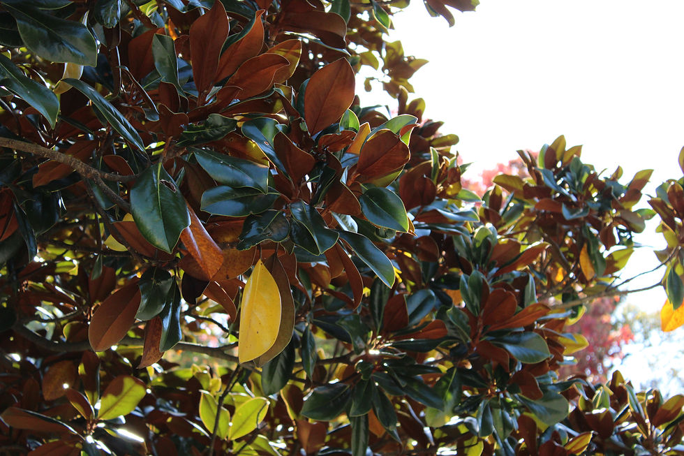 How I’m integrating photography back into my life