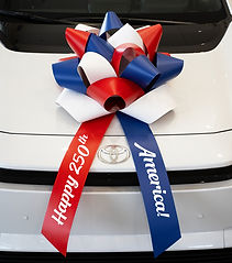 EZ501-HAPPY-250TH-AMERICA-2.jpg