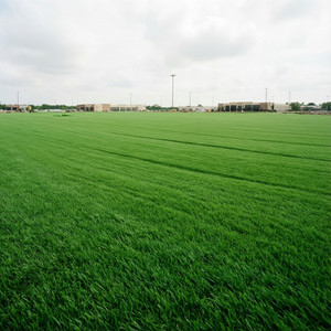 Commercial Property Greening Project