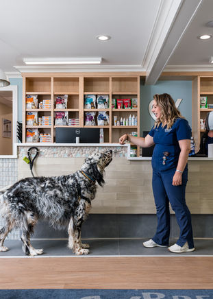 Renovation, Brewster Veterinary Hospital