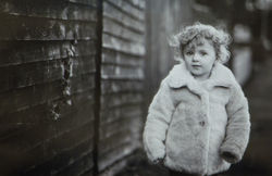 Mono Prints - Starred