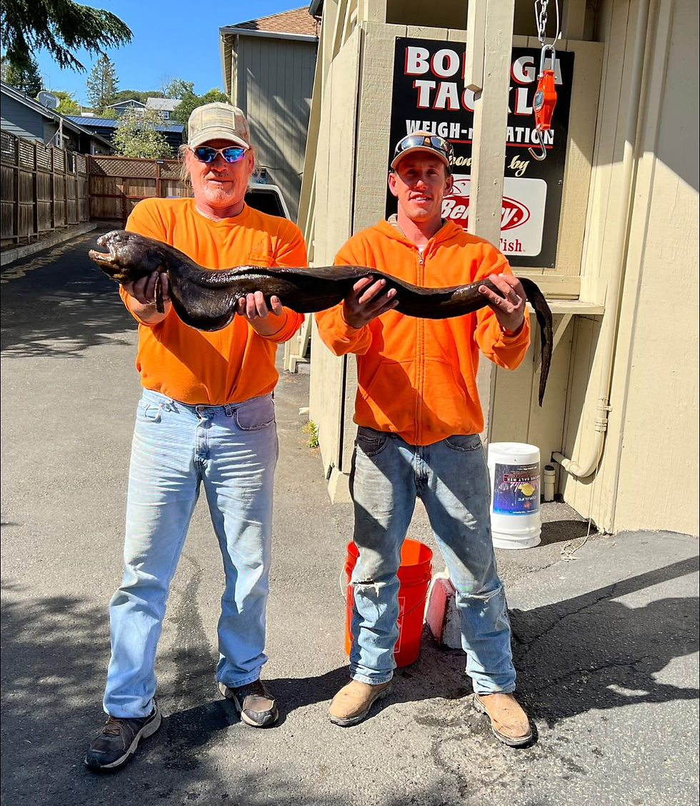 customers-men with eel
