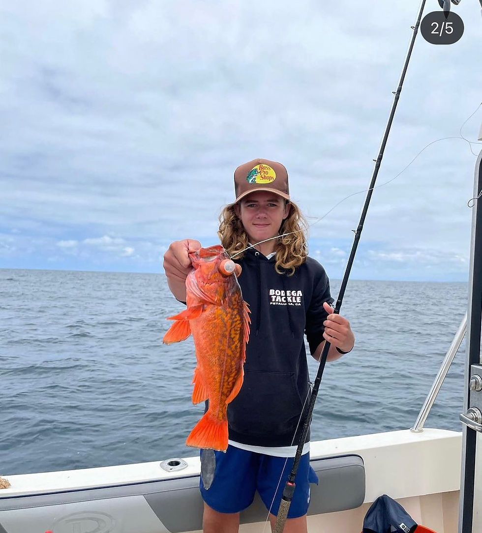 customers-boy with orange fish