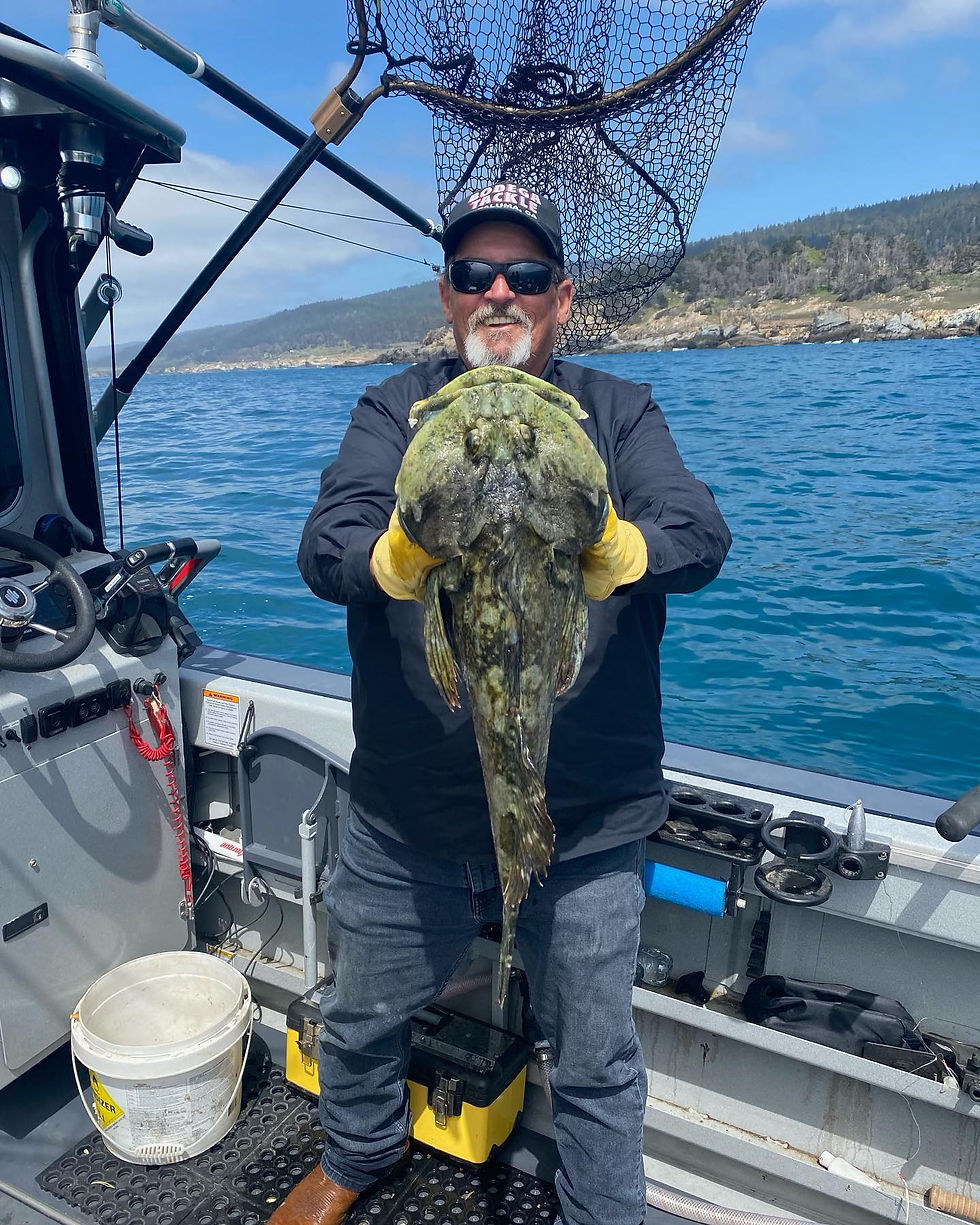 customers-man with large rockfish