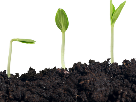 Obsess over lost leads if you want to grow