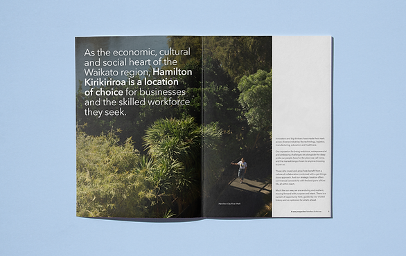 Hamilton City Council business investment prospectus print-out