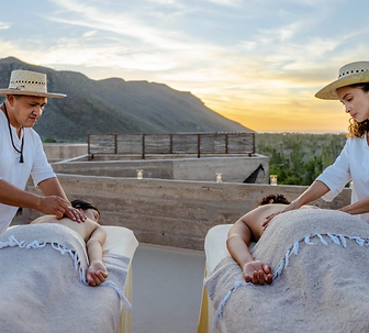 Screenshot 2025-03-13 at 8.48.26 AM.png