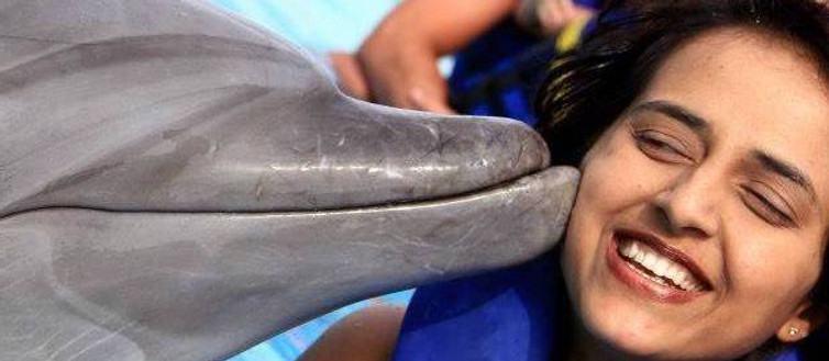 Dolphin.jpg