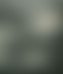 Présentation du peintre André Dauthuille et exposition virtuelle