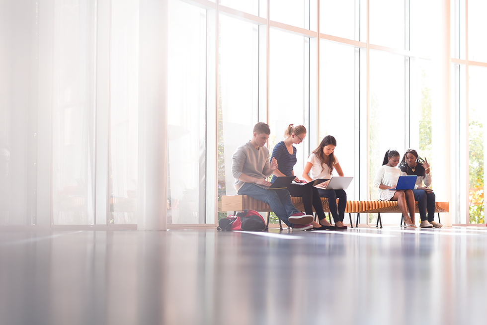 ¿Cuánto vale la visa de estudiante para Nueva Zelanda?