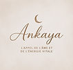 logo ankaya
