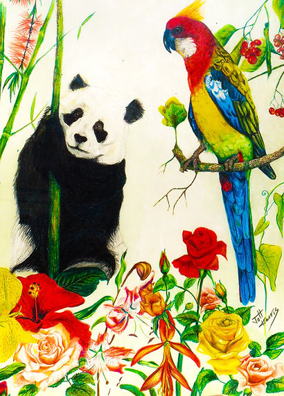 Panda Pariot.jpg