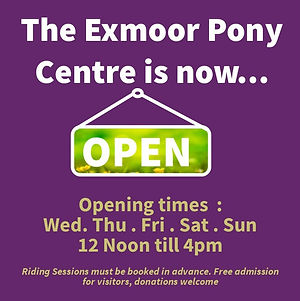 open for website.jpg