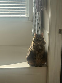 IMG_6089.jpeg