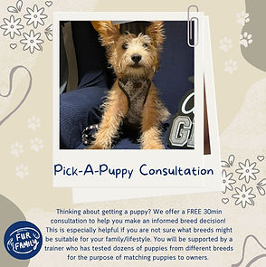PICK-A-PUPPY CONSULTATION.jpg