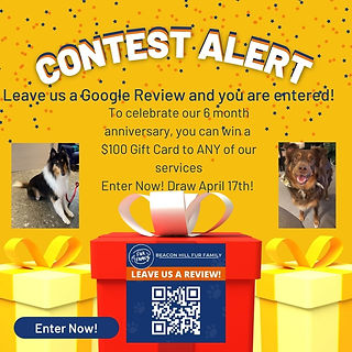 contest Alert.jpg