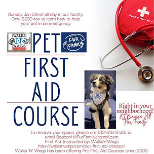 pet first aid 28 jan 2024.jpg