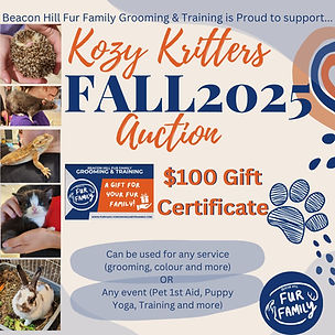 Kozy Kritters Auction Fall 2025.jpg