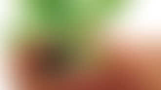 Engineering Education Scheme