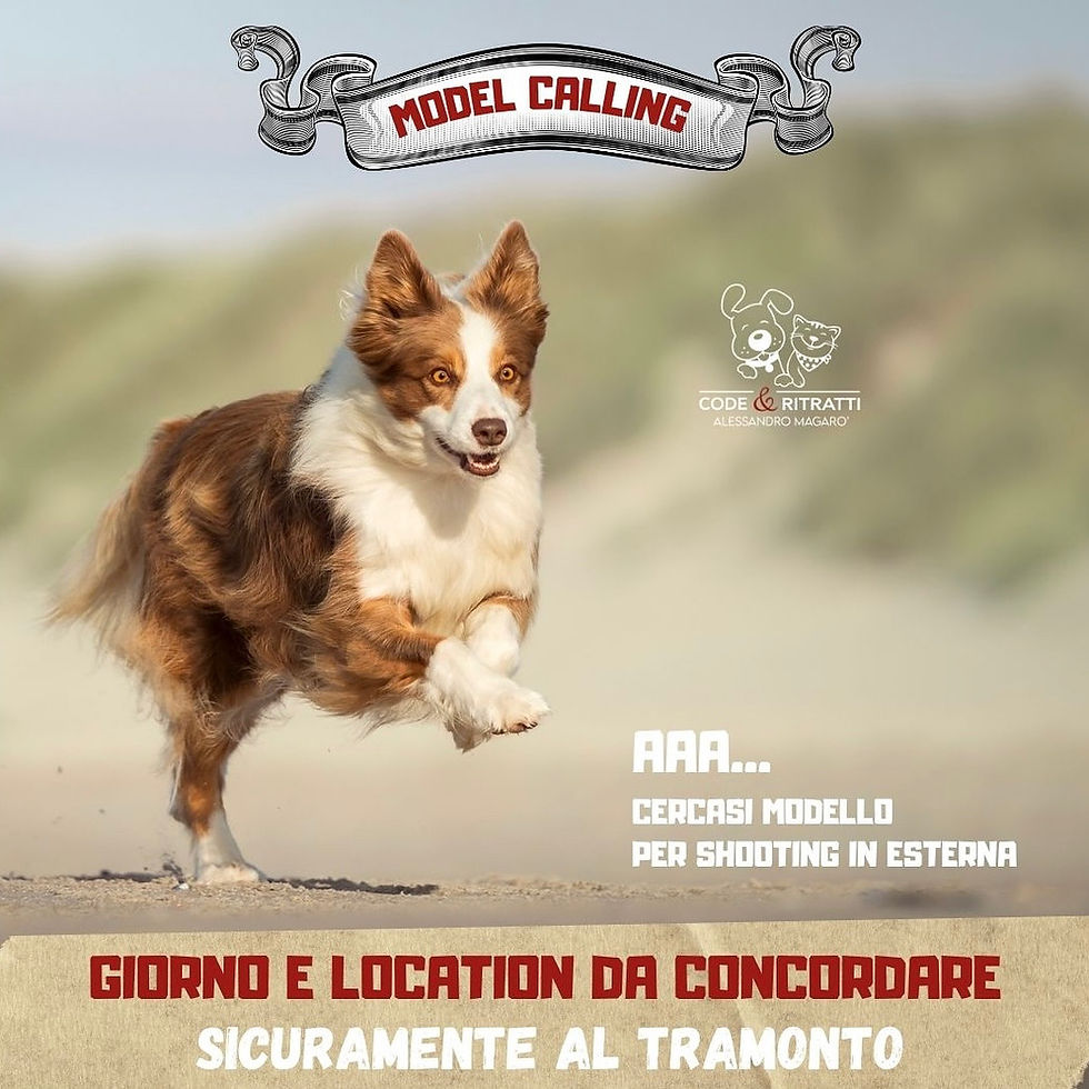 MODEL CALL