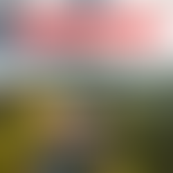 THE BEST WAY TO MAKE MONEY