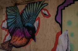 d0a093_0c4d32b4fe5741e6a6ca757c9f95b0c4-mv2_d_3264_2176_s_2