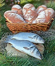 The Fishes and Loaves Miracle