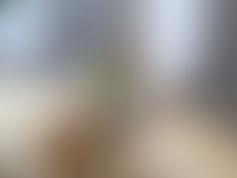 体内時計を戻そう🌿