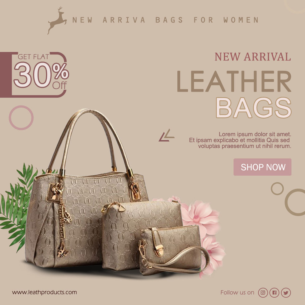 ladies bag poster