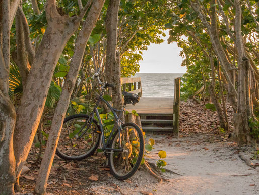 Best Places for Camping in Florida