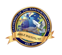 GOTSI Logo