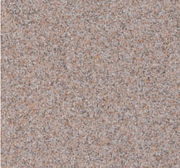 Quartz floor color Oyster
