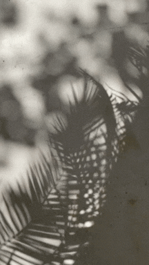 nature spiritual growth