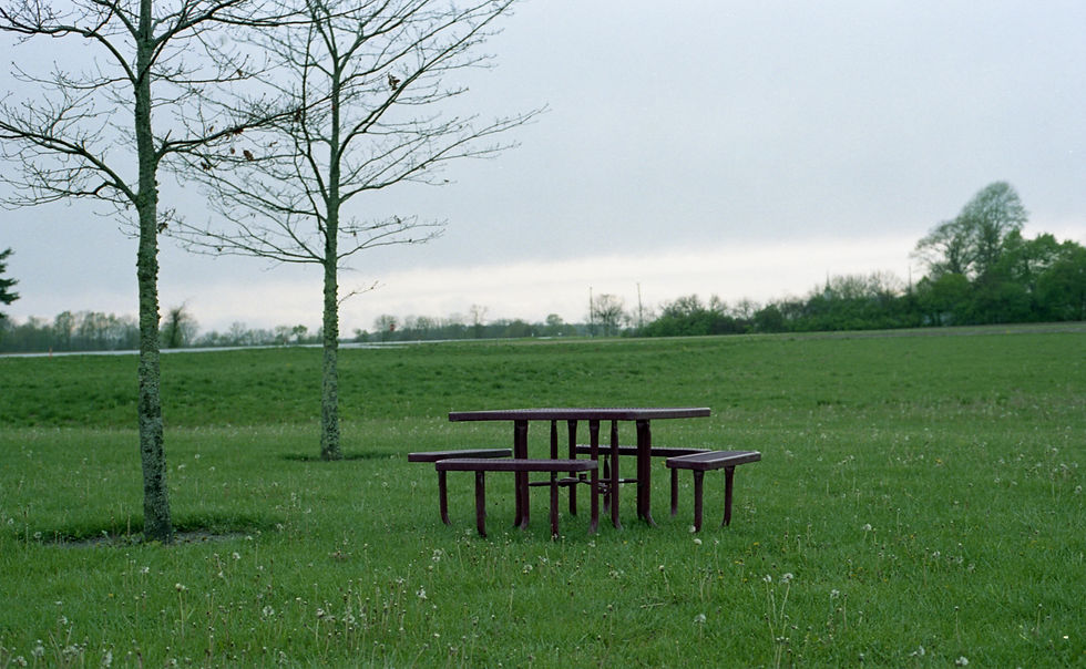 Portra 400 Pushed to 200 - Picnic Table grass