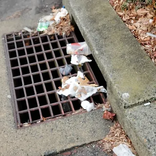 sewers-1.webp