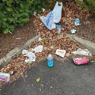 street-litter.webp