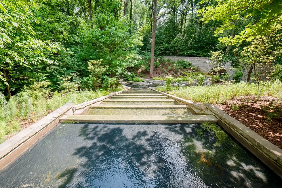 atlanta botanical garden.webp