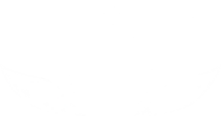 логотип ШБЛ правильный.png