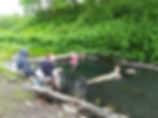 1563011324297.JPEG