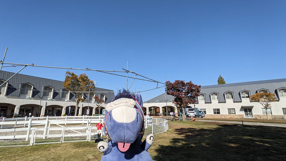 この天気にはUMAもニッコリ。