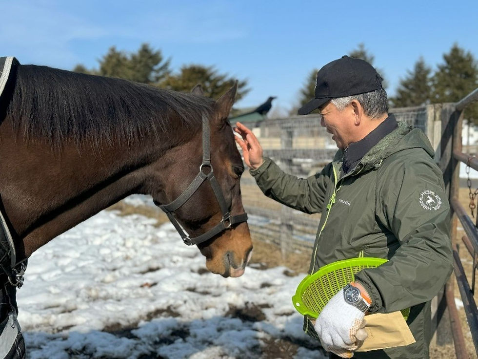 村上さんに甘えるメイショウサムソン