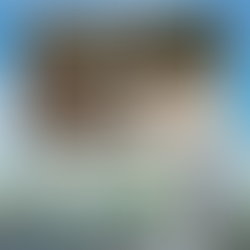 馬たちの震災と、引退馬協会の歩み🐴