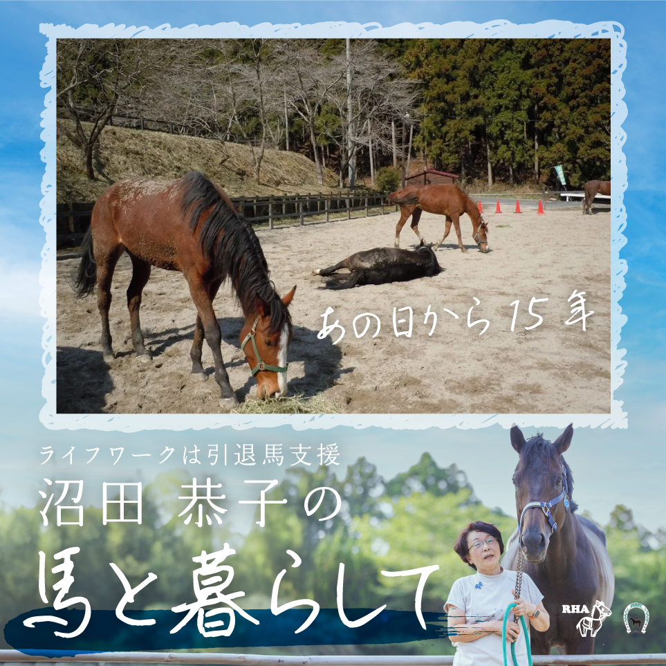 馬たちの震災と、引退馬協会の歩み🐴