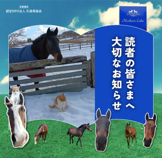 新厩舎建設地で地鎮祭にメトも参戦🐈🐎 そして読者の皆様に大切なお知らせを…🙇‍♀️